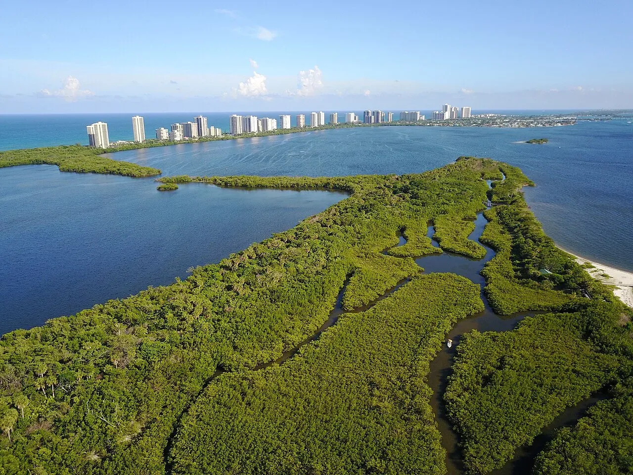 Aerial of Munyon Island lagoon at MacArthur Beach State Park, North Palm Beach