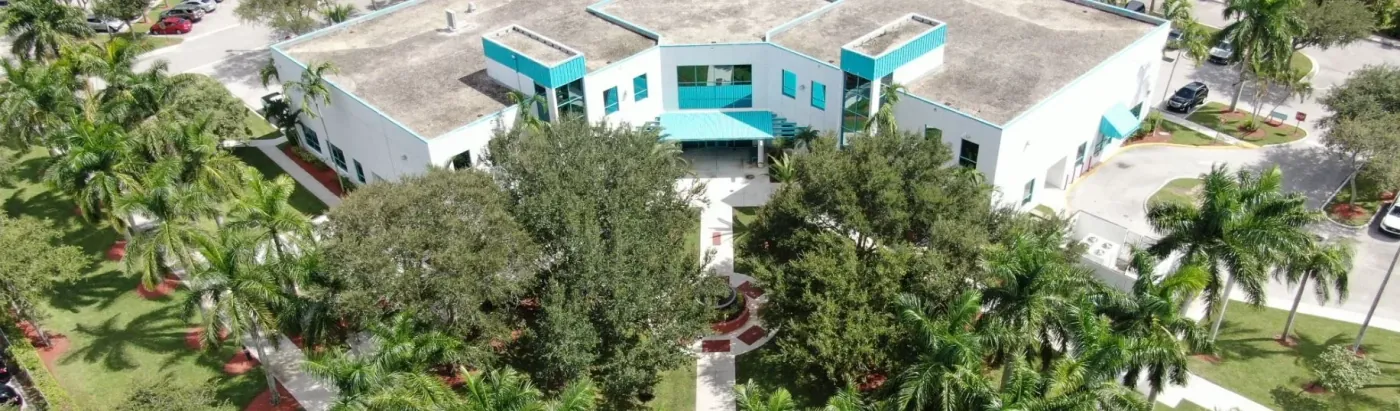 Aerial view of the palm-lined Village Center complex in Palm Springs, Florida