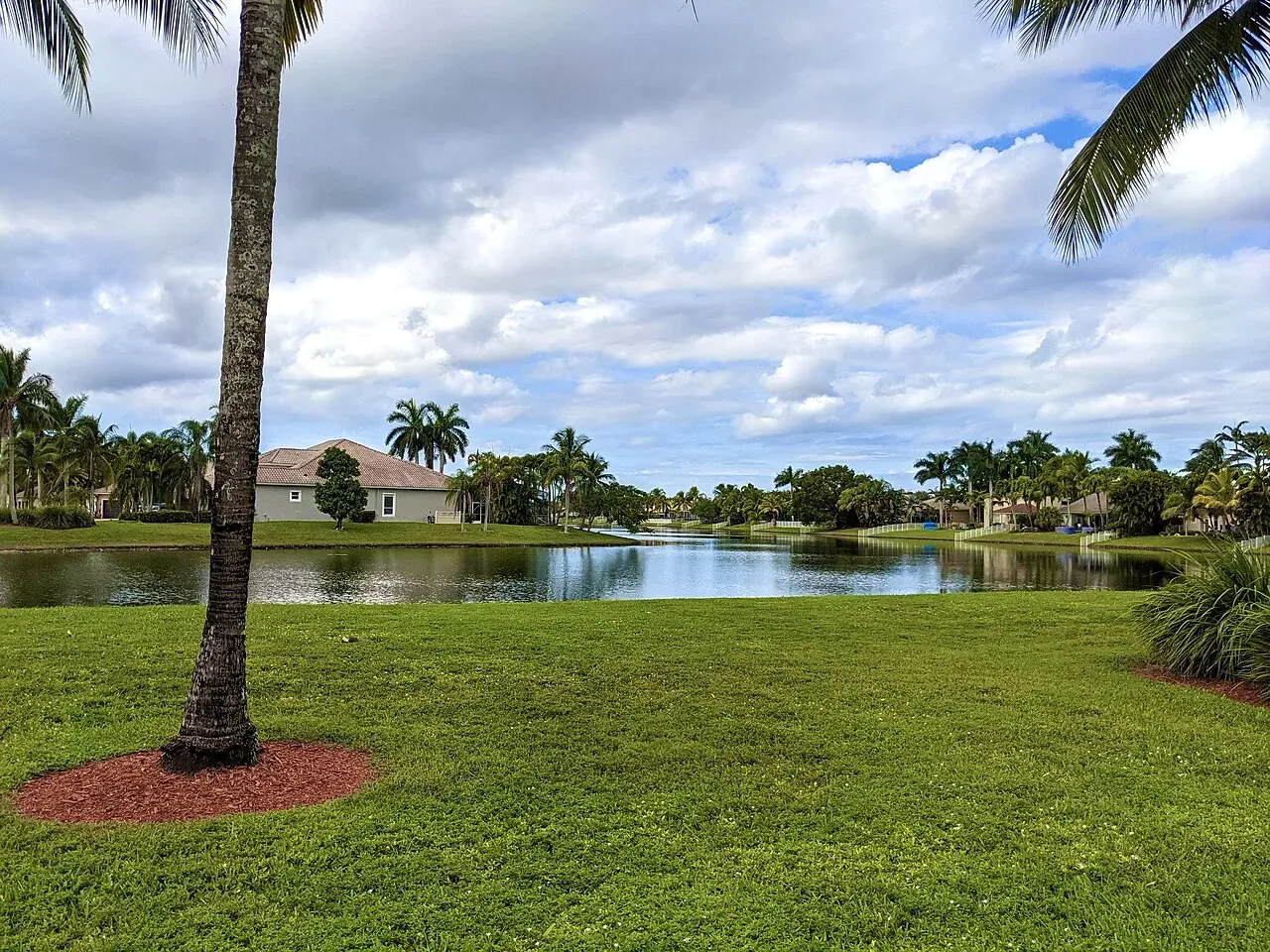 Palm-lined lake in the Pembroke Falls neighborhood, Pembroke Pines