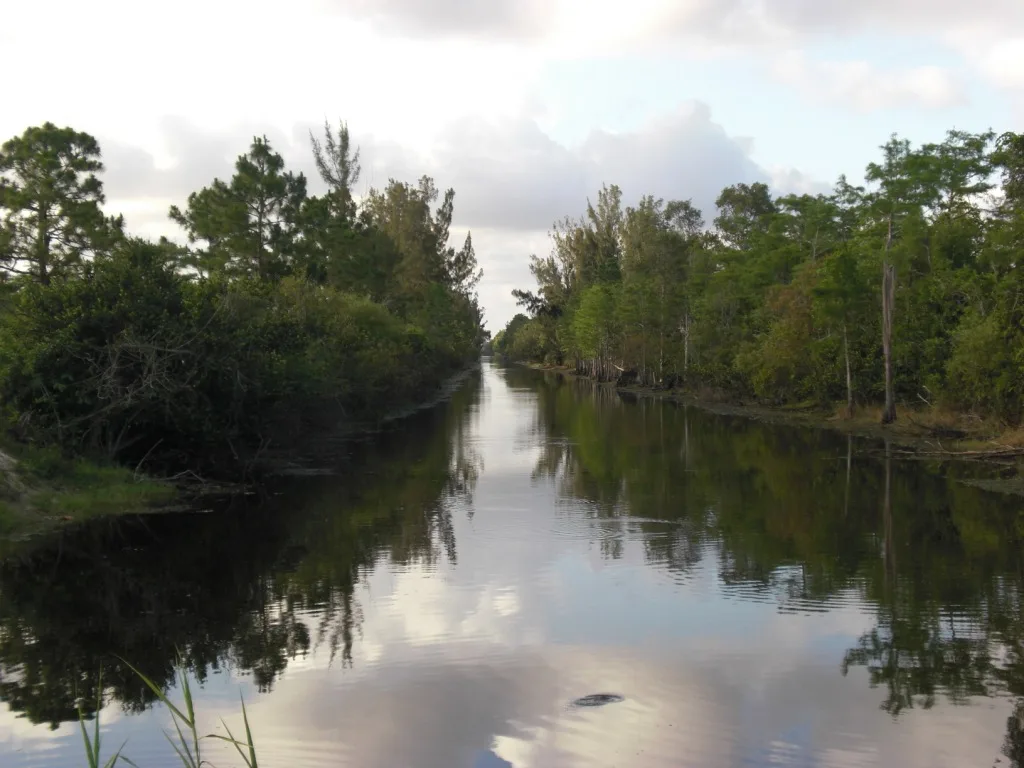 Tree-lined preserve waterway in Royal Palm Beach, Royal Palm Beach