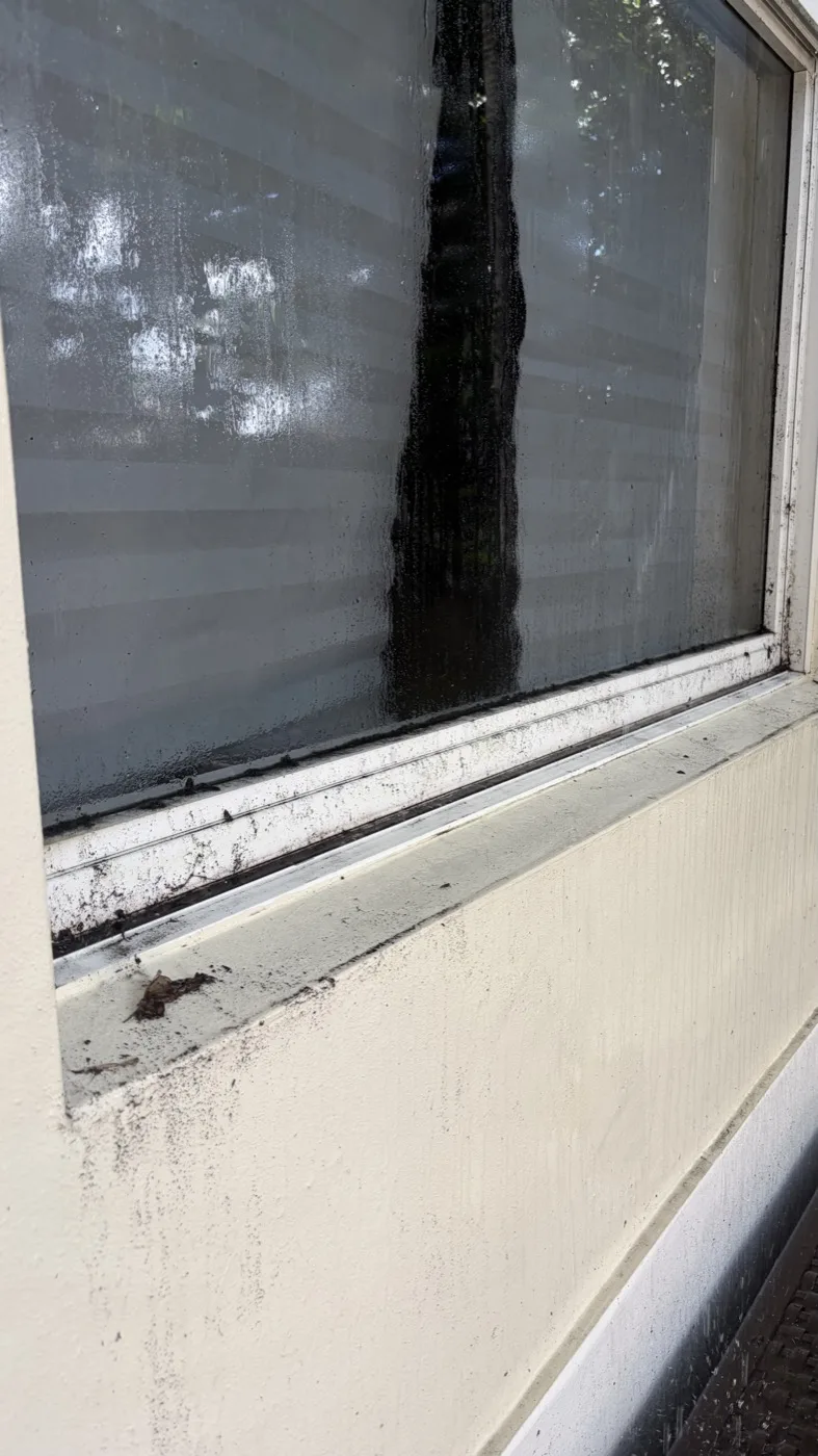 Exterior window sill, before cleaning